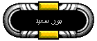 بور سعيد