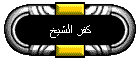 كفر الشيخ